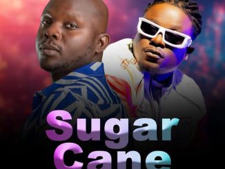 Dan Danedle ft T Sean – Sugar Cane