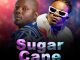 Dan Danedle ft T Sean – Sugar Cane