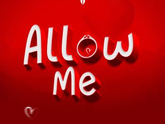 Drimz Muziq – Allow Me