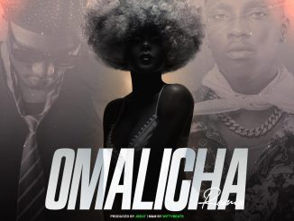 Flametas ft. Bloodkid Yvok – Omalicha Remix