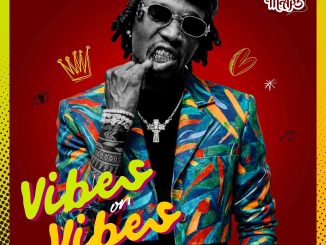 Yo Maps - Vibes on Vibes Album